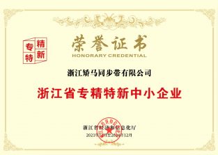 浙江省專精特新中小企業(yè)-浙江矯馬同步帶有限公司